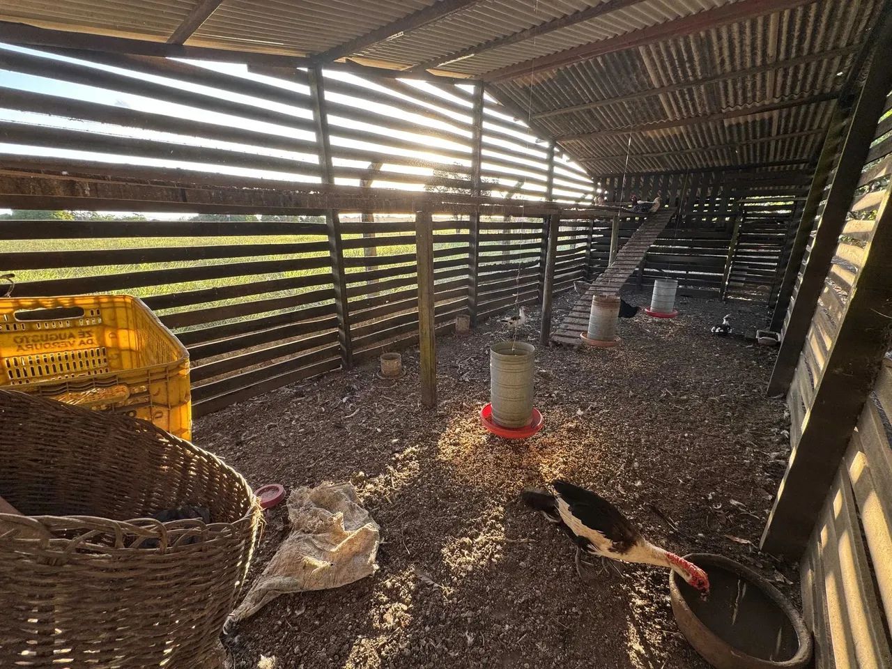 Chácara em nossa senhora das dores [61] - Foto 9