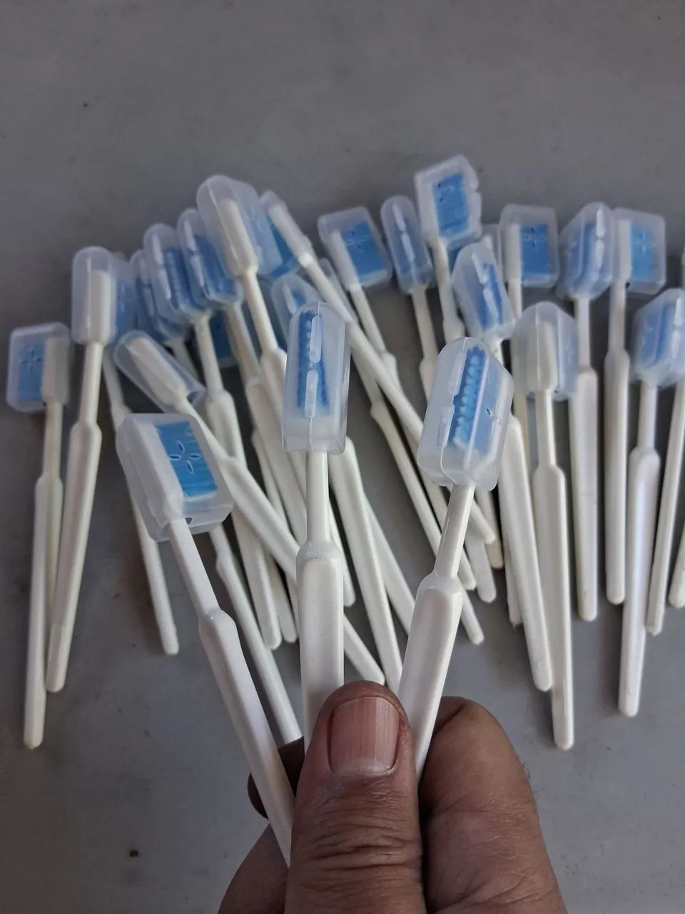 Escovas de dente novas com proteção 