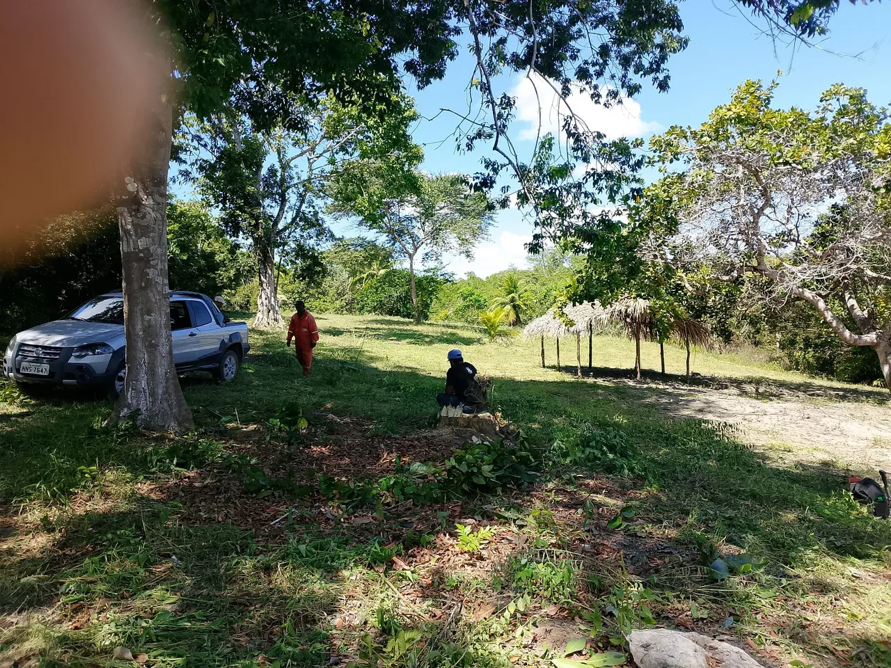 Vendesse granja na margem da BR PB 011
