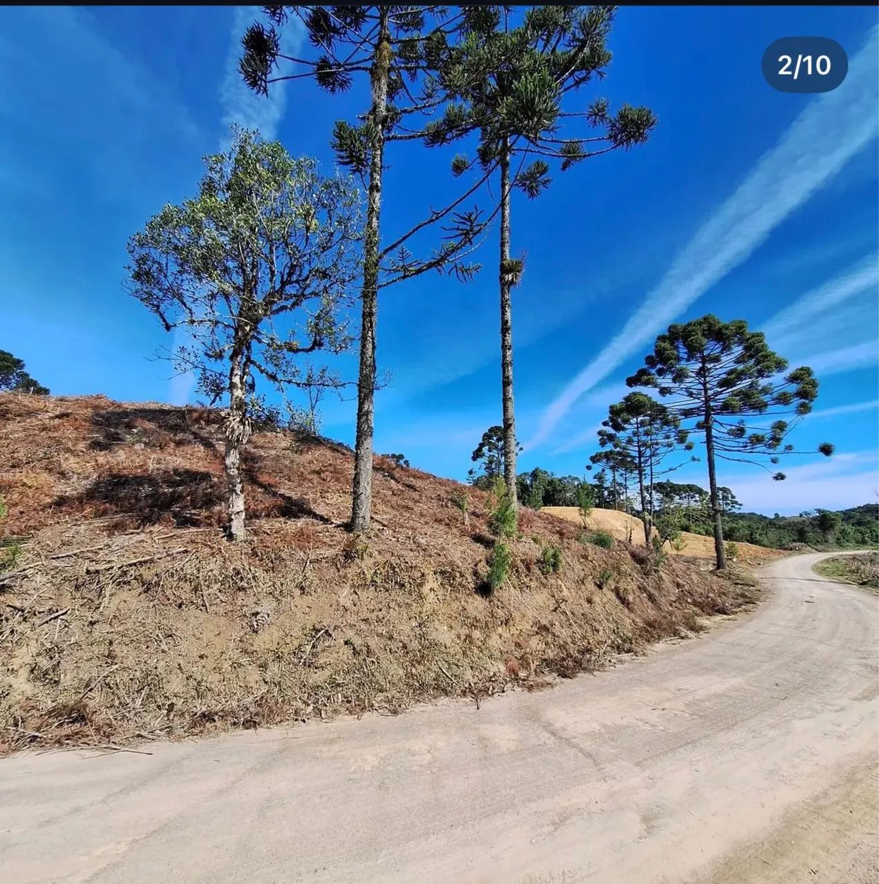 Foto - Rio dos Cedros - 