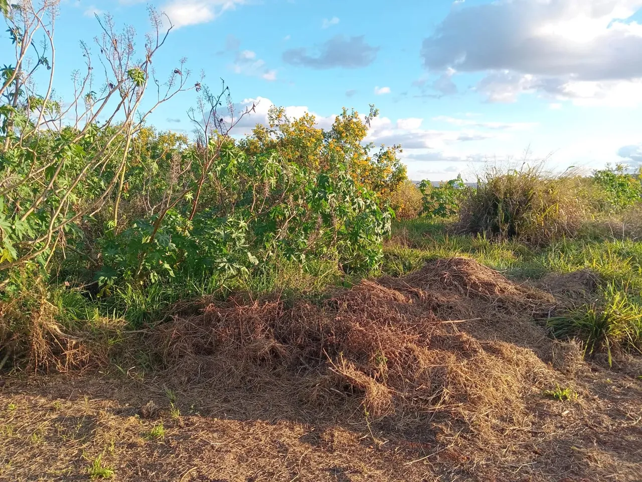 Imóvel para venda no Incra 09 Área Rural de Ceilândia - Brasília - DF