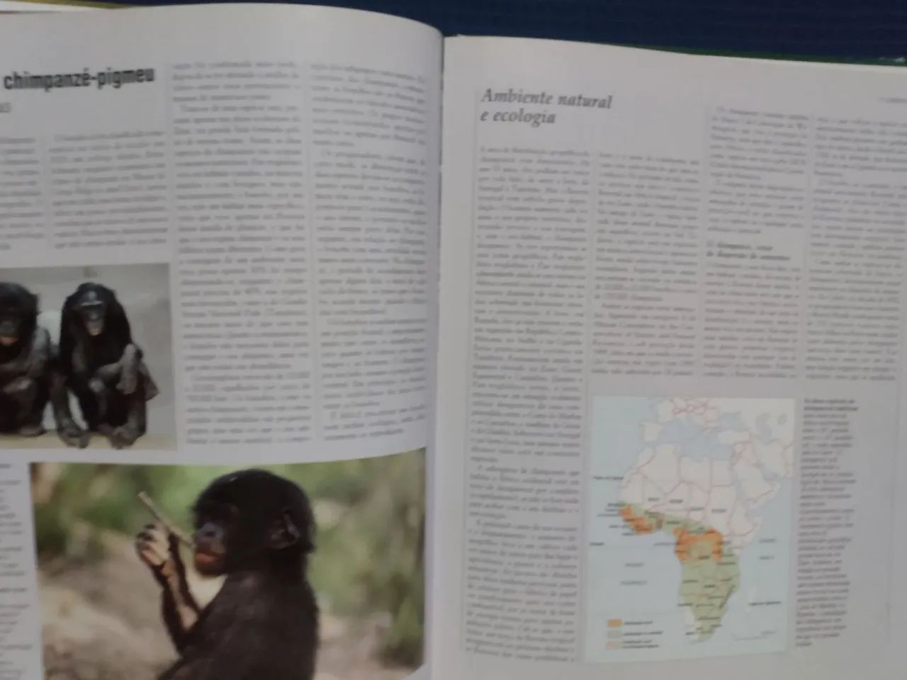 Livros - Enciclopédia da Vida Selvagem - Animais da Selva 1 e Animais da Savana Vol 1 - Foto 3