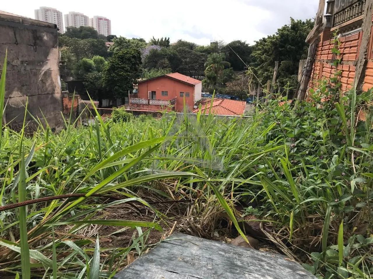 Terreno à venda em Campinas, Jardim Leonor, com 320 m² - Foto 3