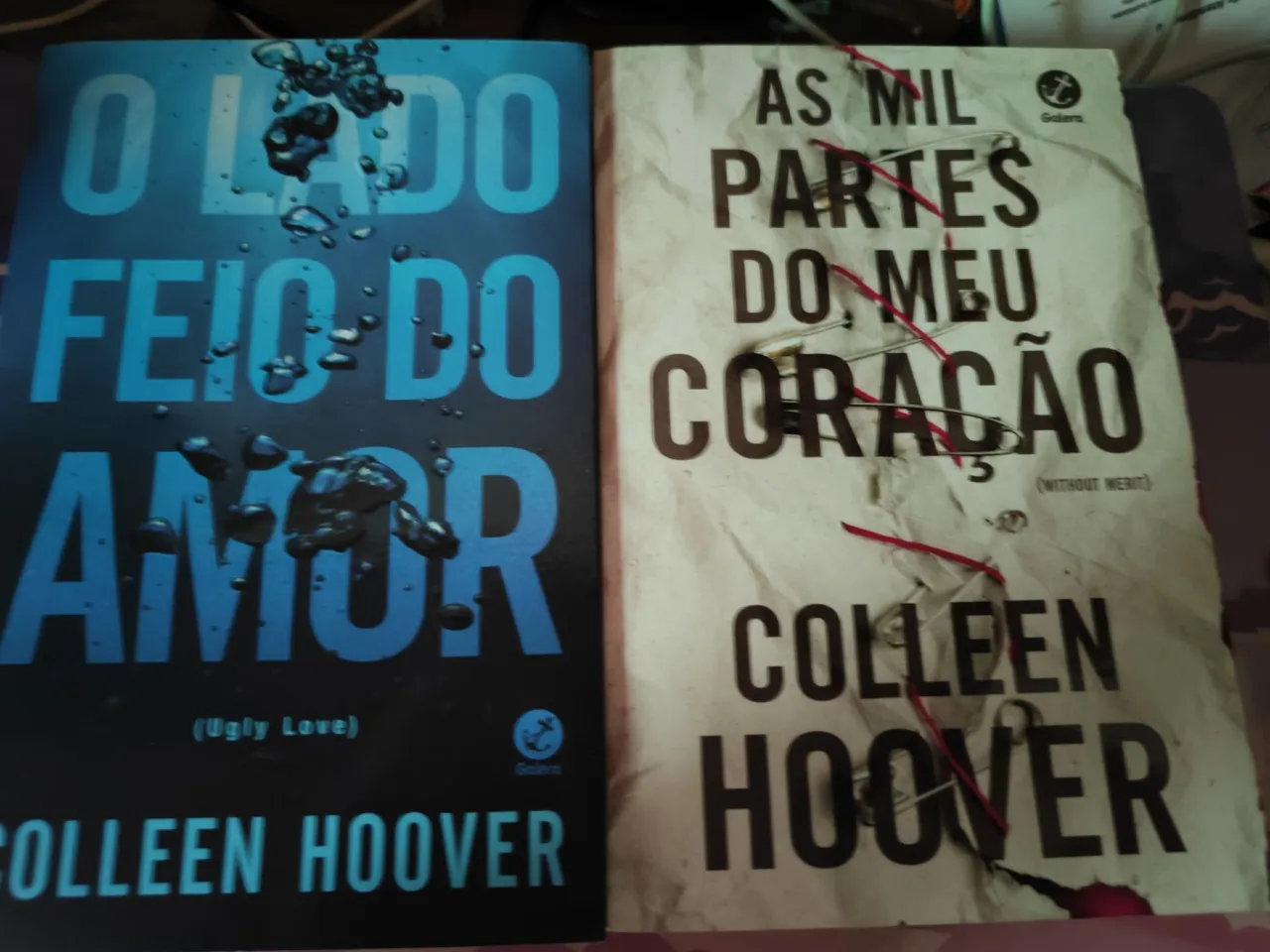O Lado Feio do Amor e As Mil Partes do Meu Coração e os sete maridos de Evelyn Hugo