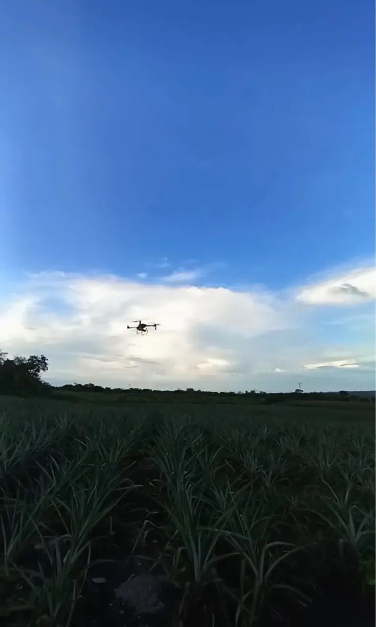 PULVERIZAÇÃO COM DRONES AGRÍCOLAS-TO/MA/BA/PI/PA - Foto 2