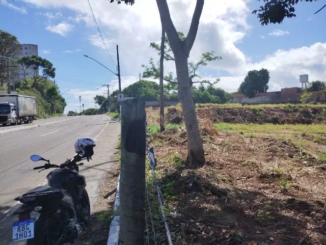 Terrenos com Áreas a partir de 2.096,83 M/2 - Frente para Rod ES 010 - Manguinhos Serra ES - Foto 7