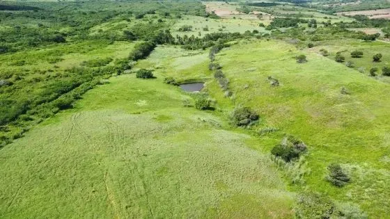 Excelente Fazenda com 38 hectares em monte alegre