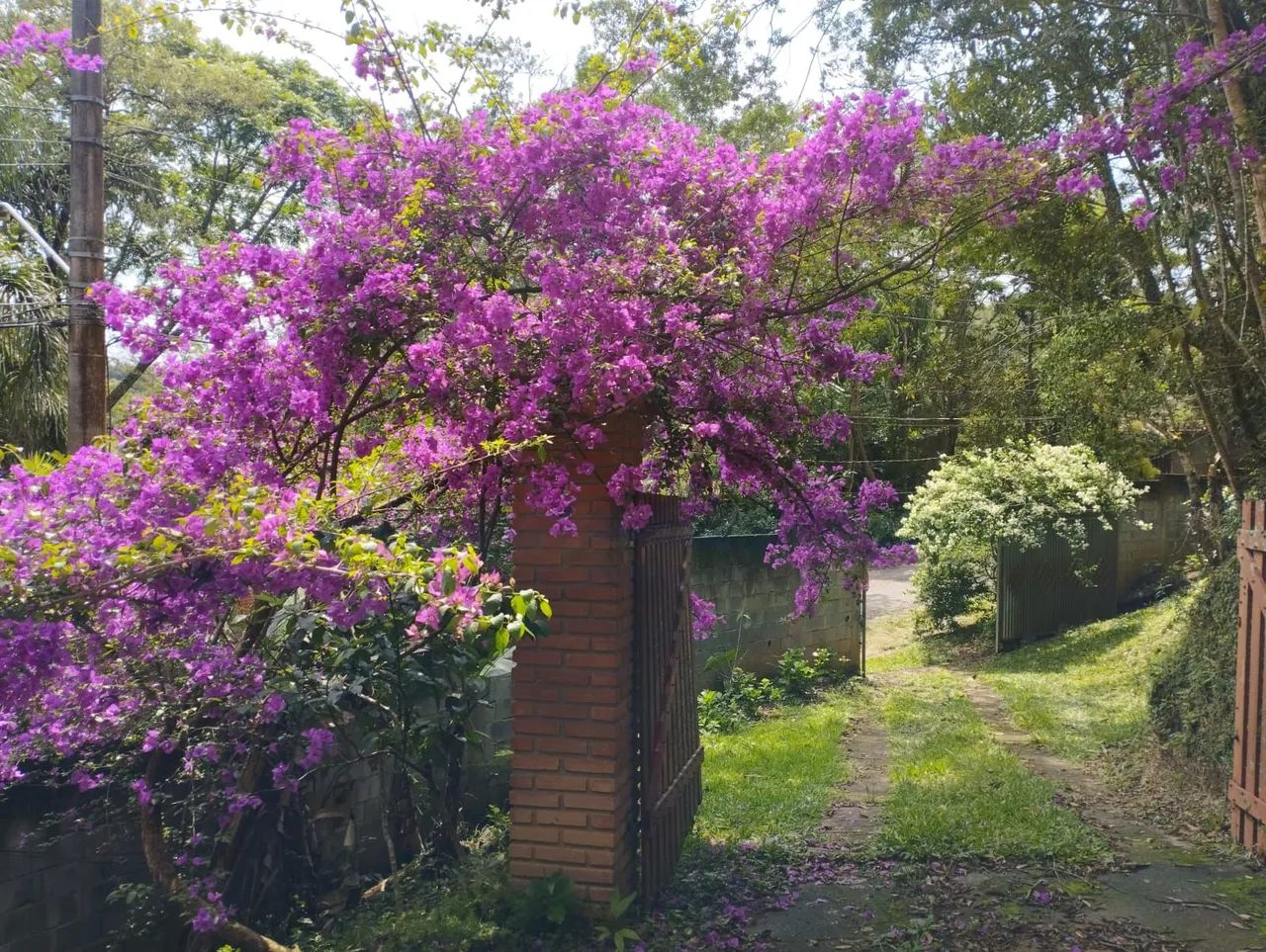 Linda Chacara próxima centro Itapecerica da Serra  - Foto 2