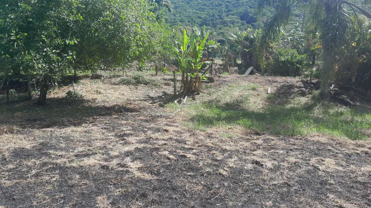 Chácara em Palhoça, 3.500m2 - Foto 4