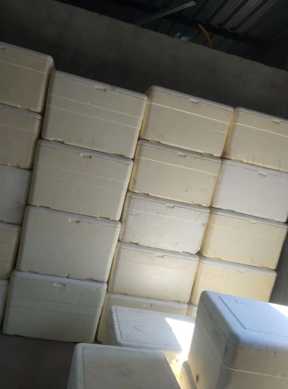 Caixas de isopor 120 litros vem com o dreno de escorrer a água  - Foto 2