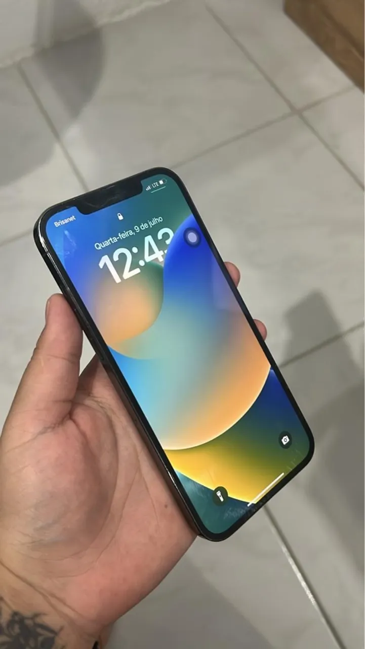 iPhone 12 Pro Max 256
