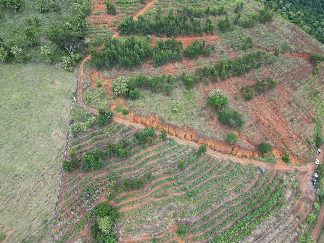 14 hectares em Laranja da Terra com Agrofloresta e Café plantado