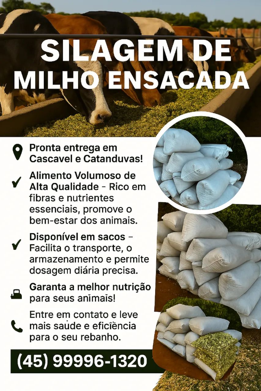 Silagem de Milho Ensacada - Pronta Entrega em Cascavel - Foto 6