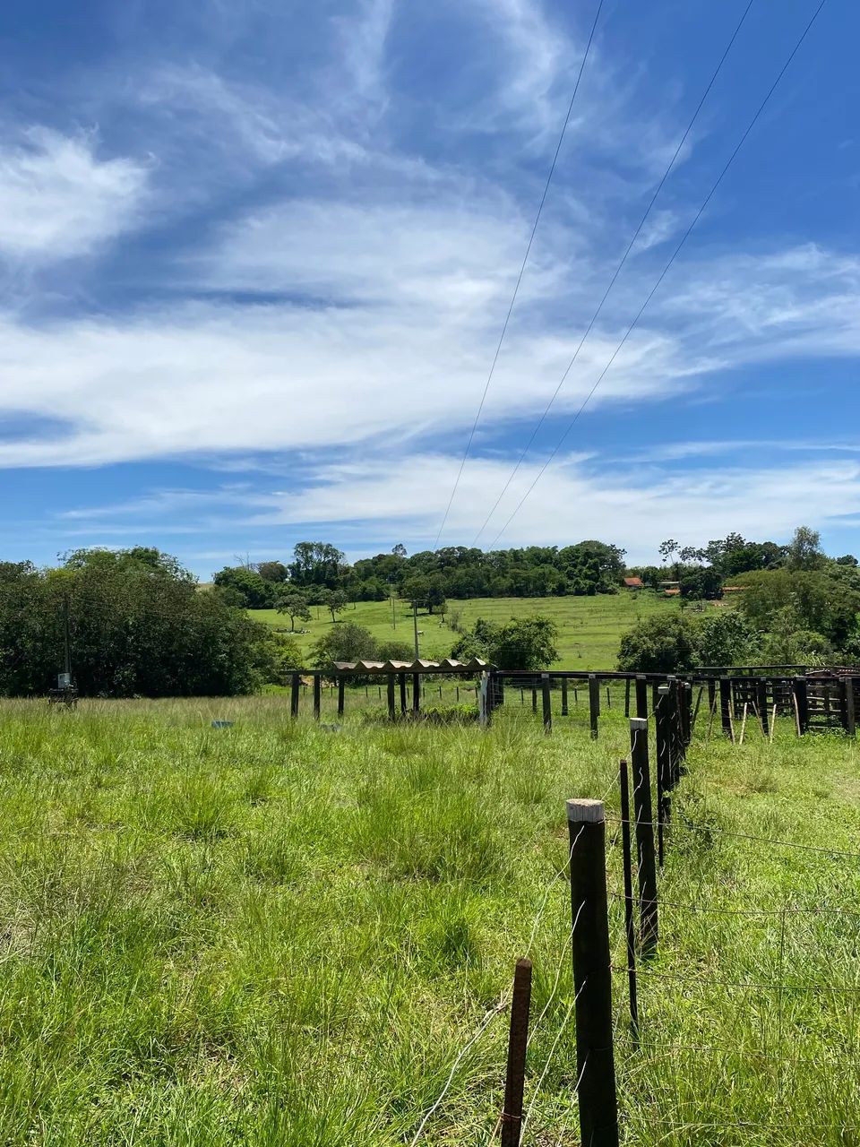 Chácara a venda  - Foto 4