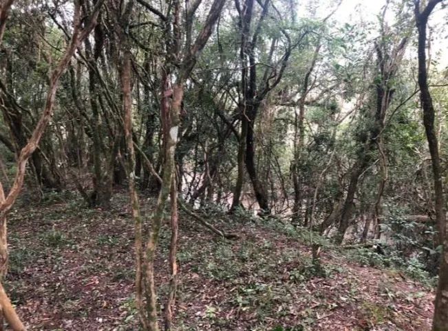 Seu refúgio no campo - Chácara de 10.000m² em Arroio dos Ratos/RS - Foto 2