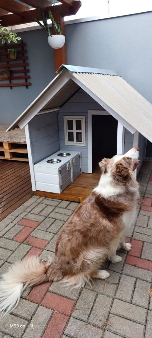 Casinha para cachorro 