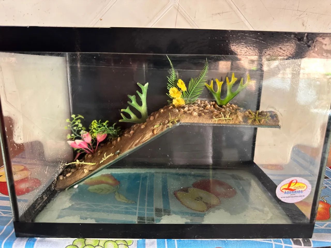 Aquário de vidro para peixes