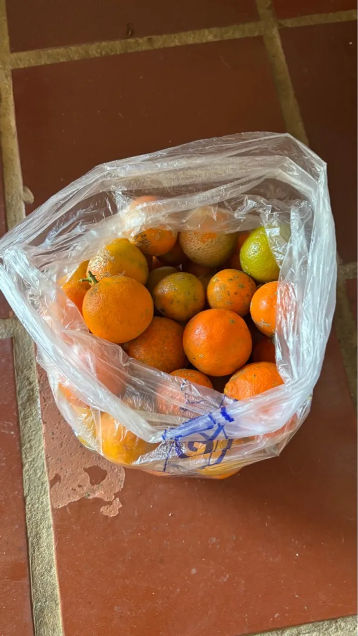 LIMÃO CAIPIRA?! 5KG POR R$10,00?