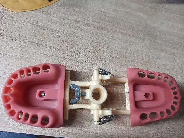 Manequim odontológico - Foto 2