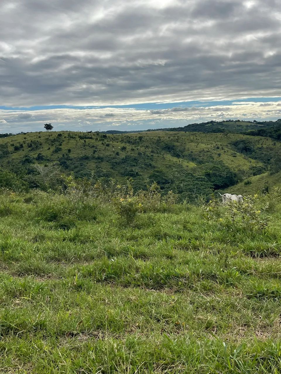 Fazenda em Santa Luiza do Itanhy - Foto 5