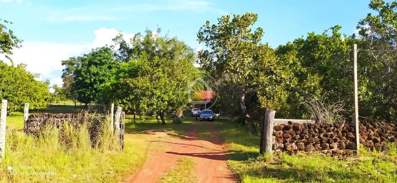 FAZENDINHA 72.5 HCTARES PROXÍMO AO TREVO DO LARGAT - Foto 2