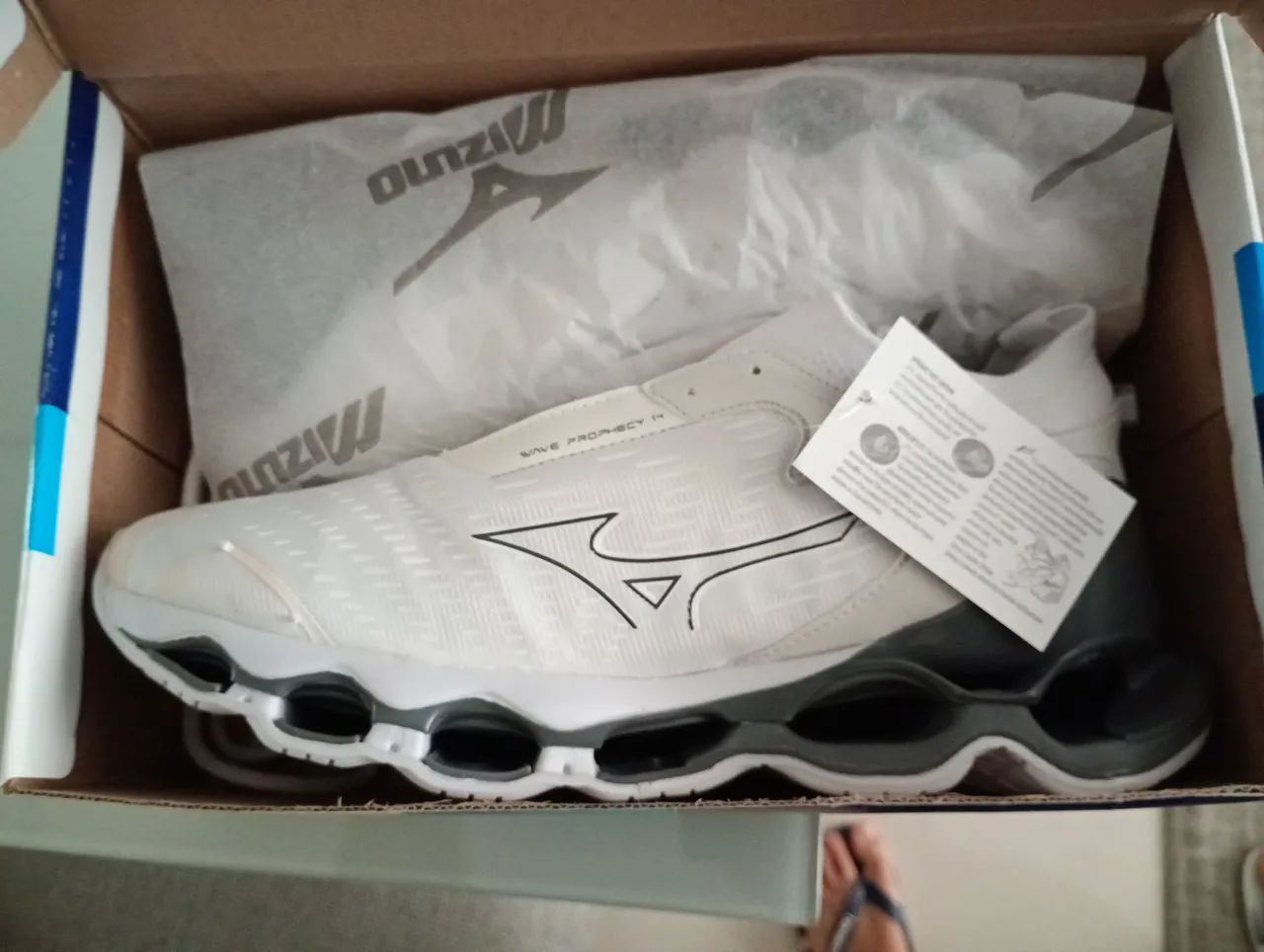 Wave prophecy 14 mizuno