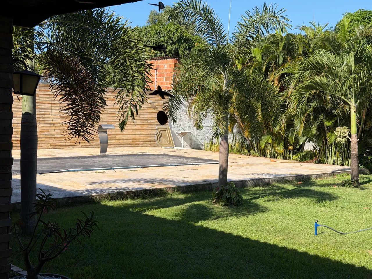 Chácara dos sonhos  - Foto 2