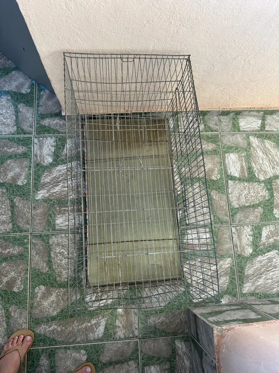 Gaiola grande  - Foto 3