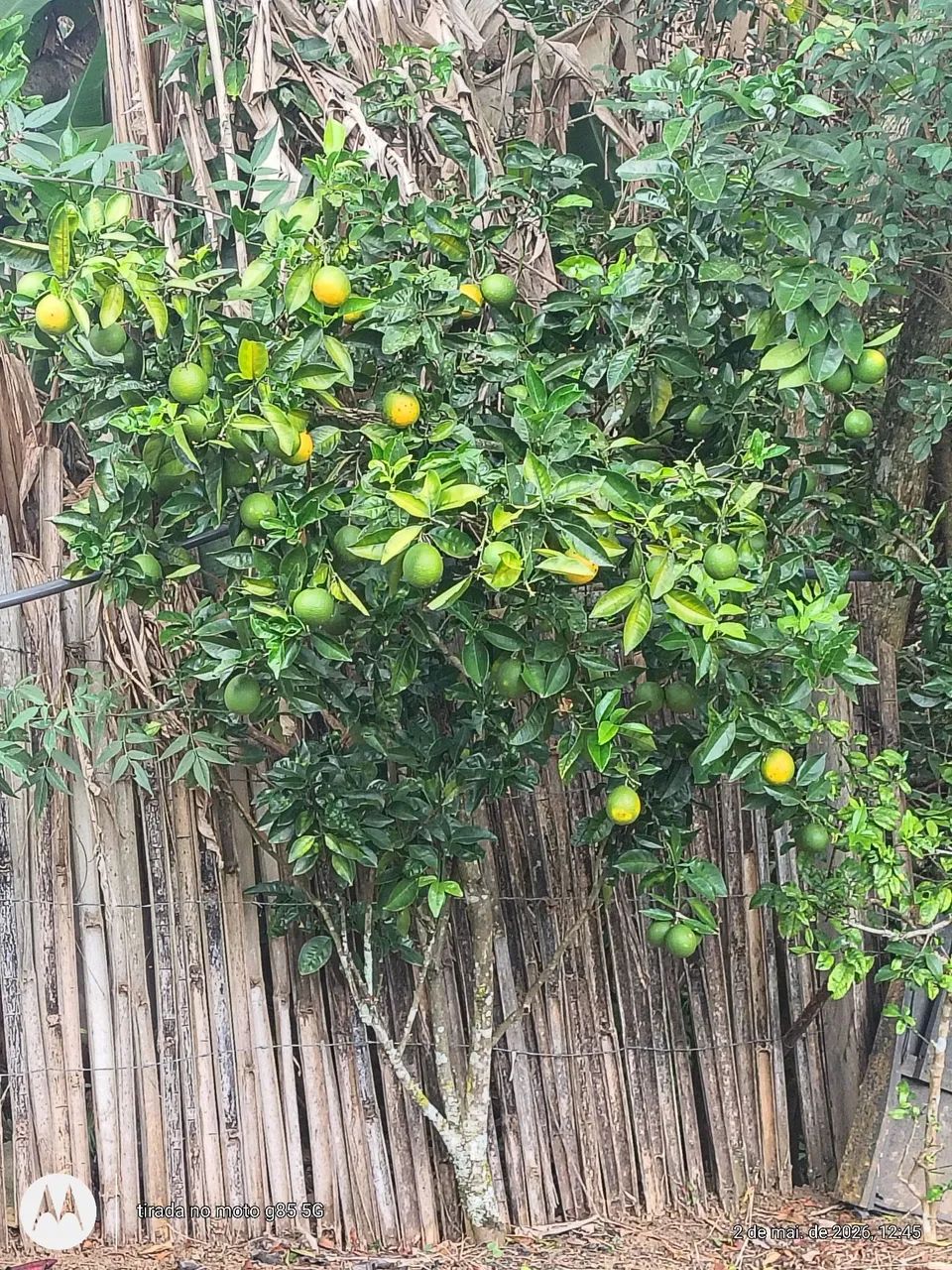 Venda ou permuta  - Foto 4