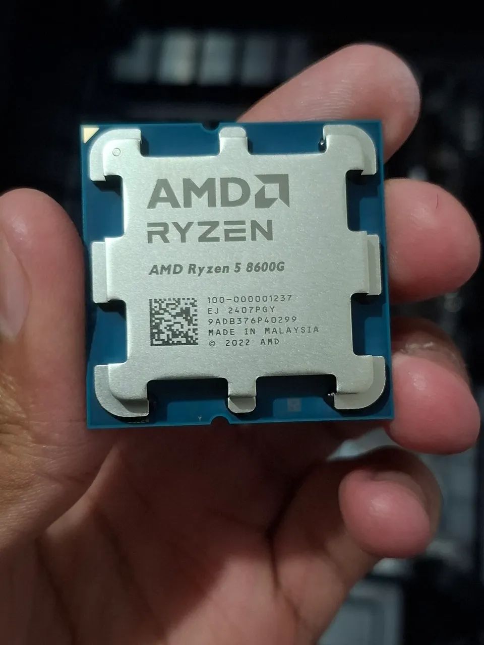 Ryzen 5 8600g 