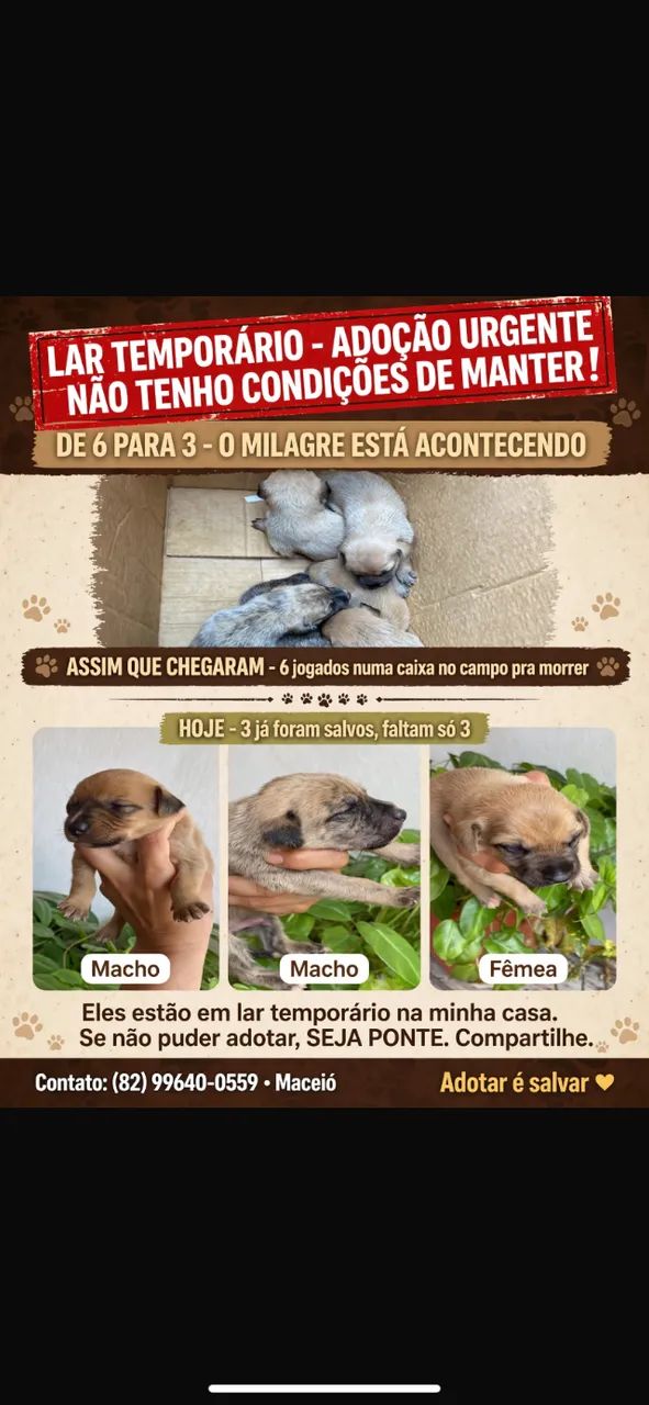 Doação responsável 