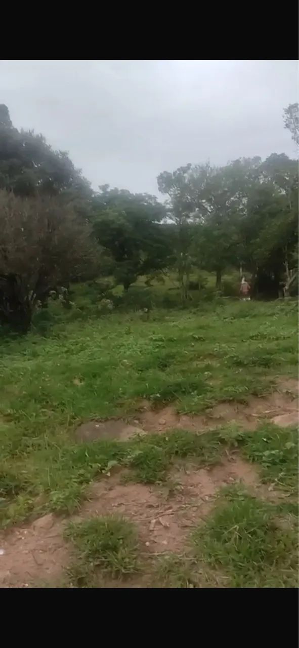 Lote Ribeirão da ilha 5.000,00 m - Foto 2