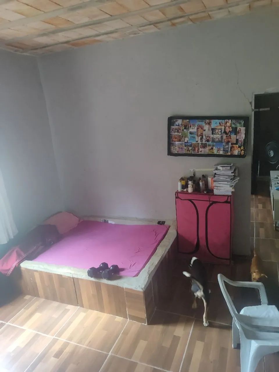 Barracão - Foto 5