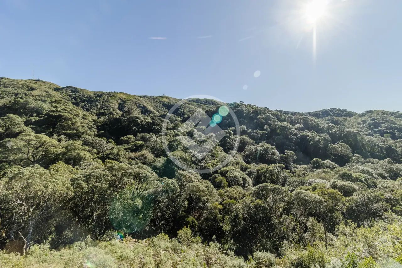 Chalé Aconchegante na Montanha em Anitápolis  Refúgio na Natureza - Foto 2
