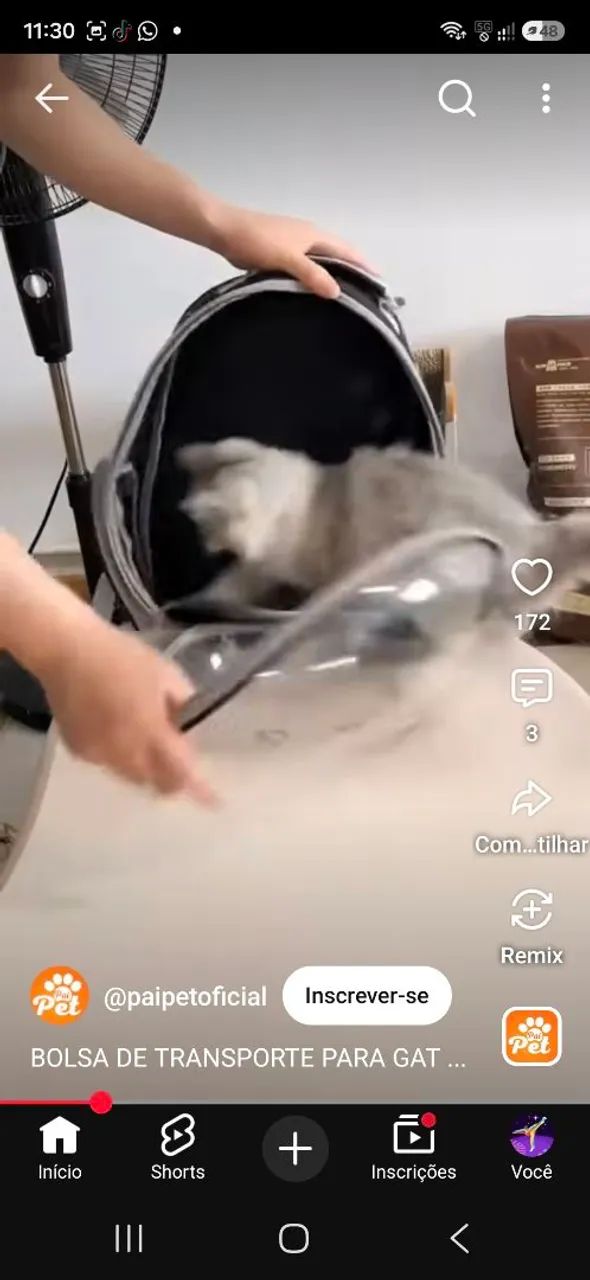 Mochila transparente para gatos - Foto 2