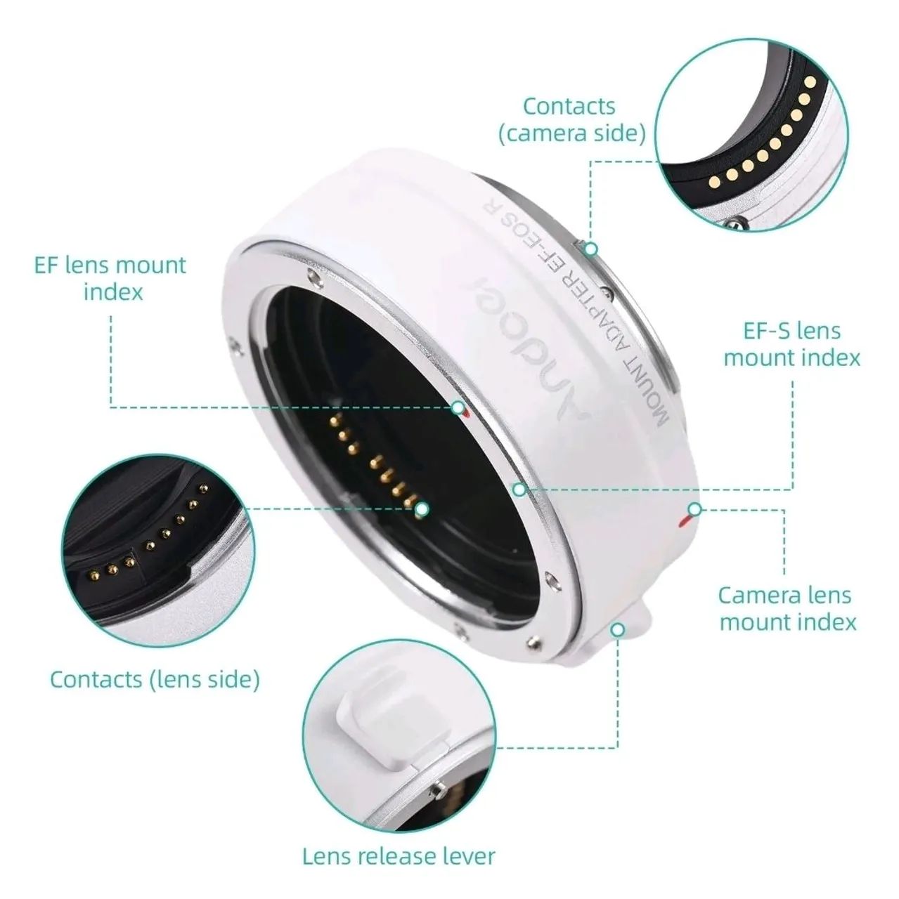 ANDOER ADAPTADOR CANON EF-RF BRANCO<br>Beatriz Costa - Foto 2