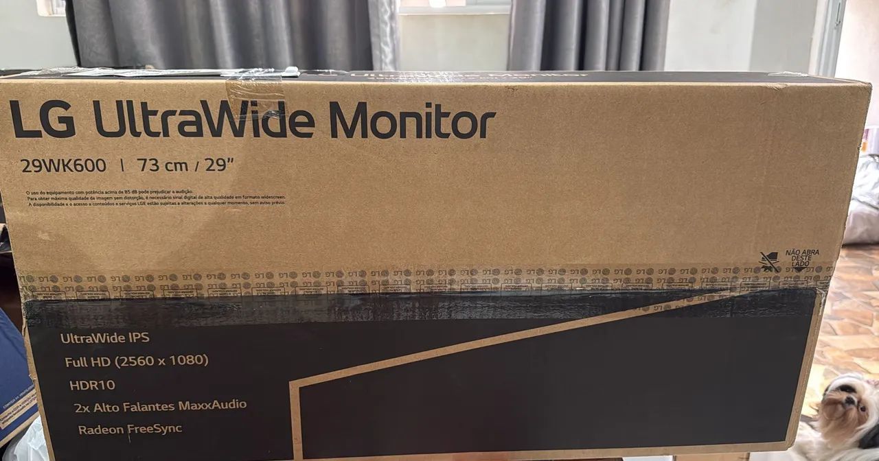 Monitor gamer