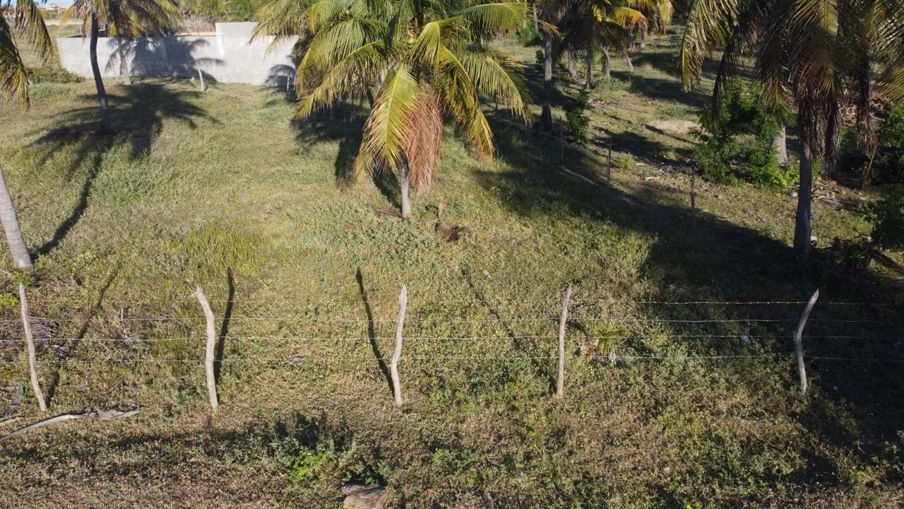 Lote em Guajiru trairi - Foto 5