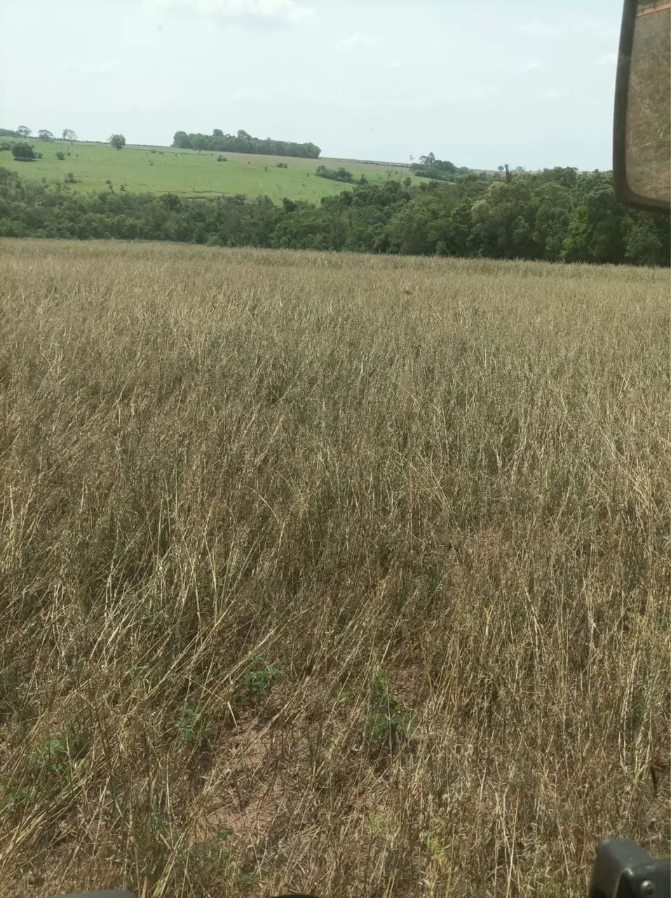 Sítio a venda em Campo Mourão Pr. - Foto 4