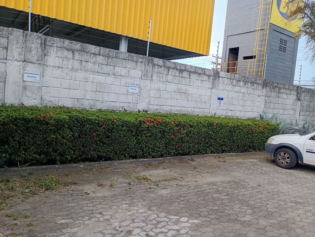 Jardinagem com excelência qualidade! - Foto 4