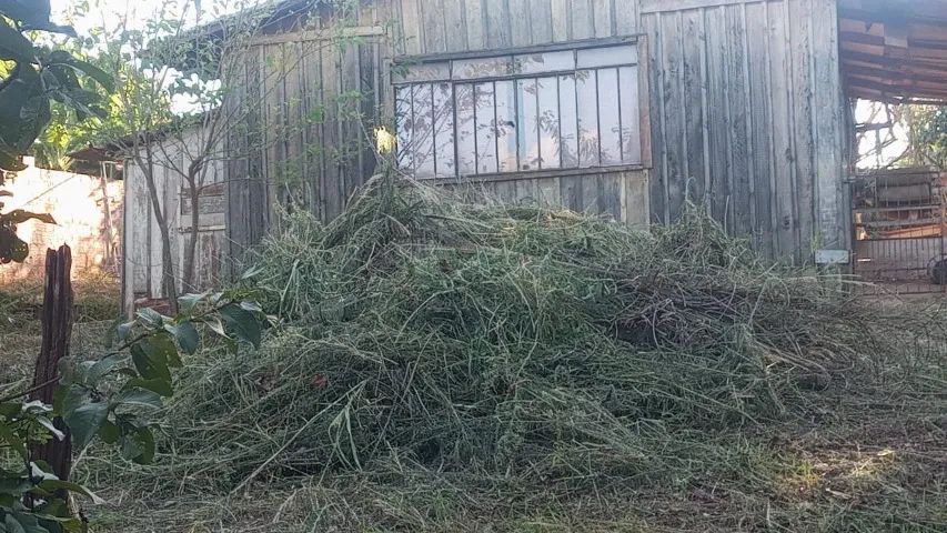 Chácara 1500m com casa Goioerê PR  - Foto 2