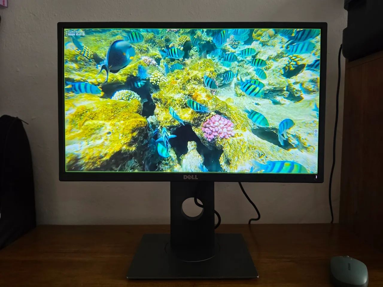 Monitor Dell Profissional P2217Hc