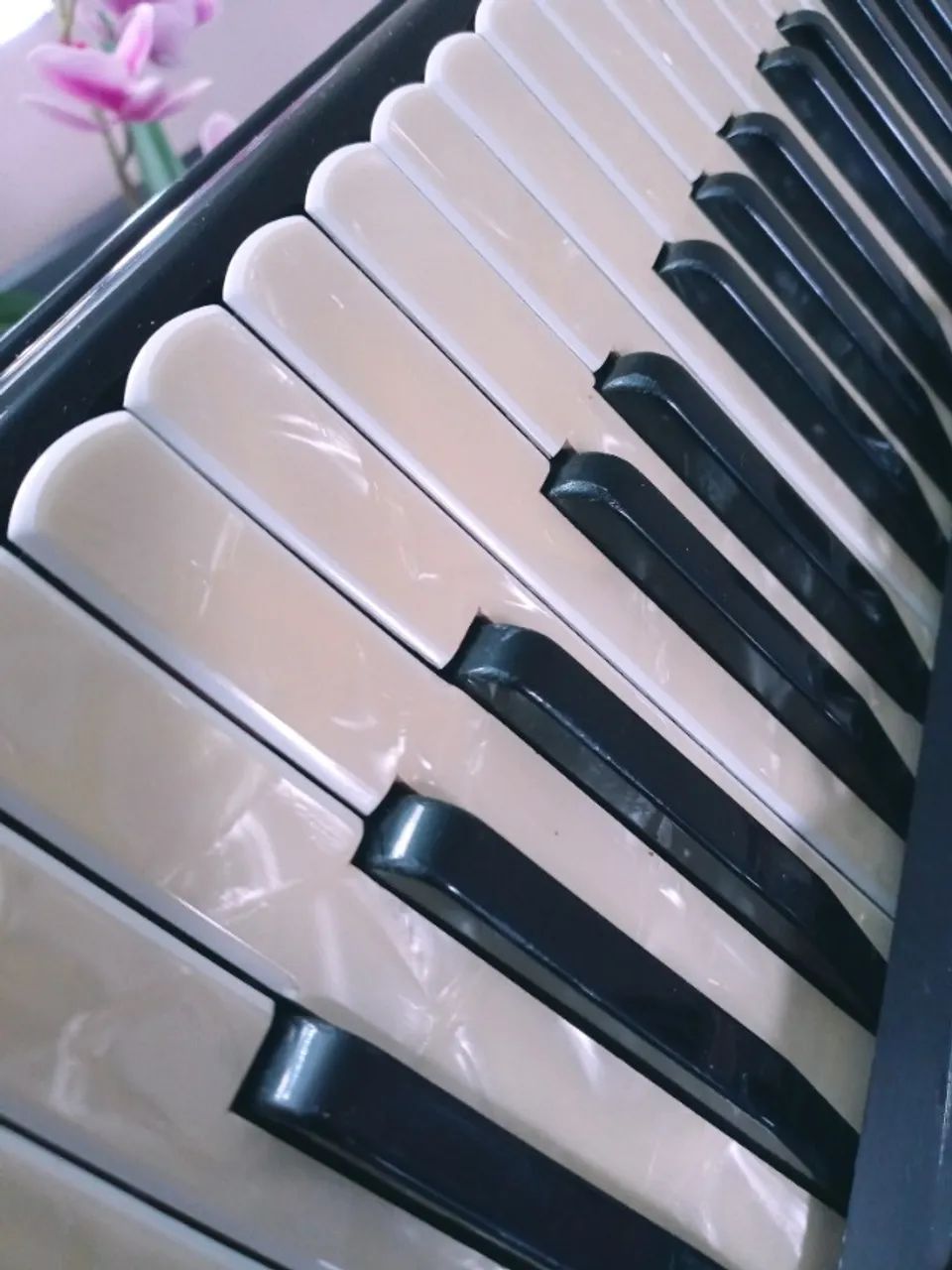 Acordeon Italiano Acmette 120 baixos - Foto 3
