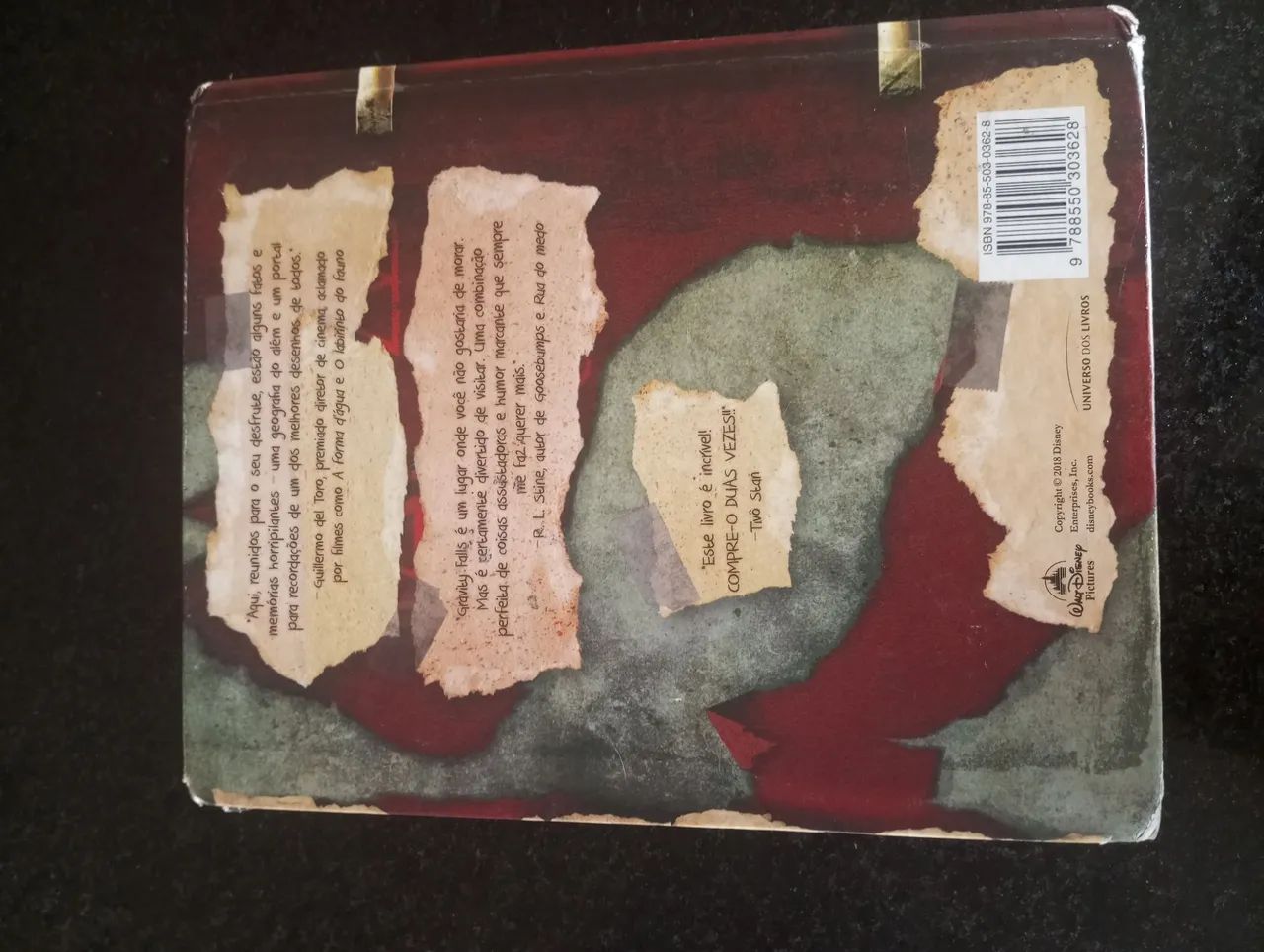 LIVRO GRAVITY FALLS - Foto 3