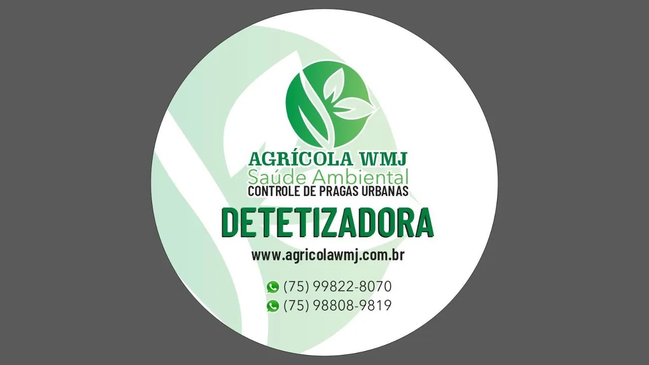 Dedetização  - Foto 3