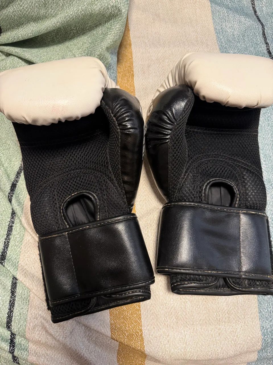 Luvas de Boxe Strong Boxing Gear 12 oz - Couro - Foto 2