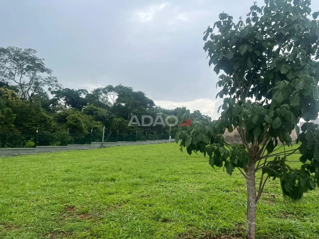 LOTE TERRAS ALPHAS 360 M2 - Foto 3
