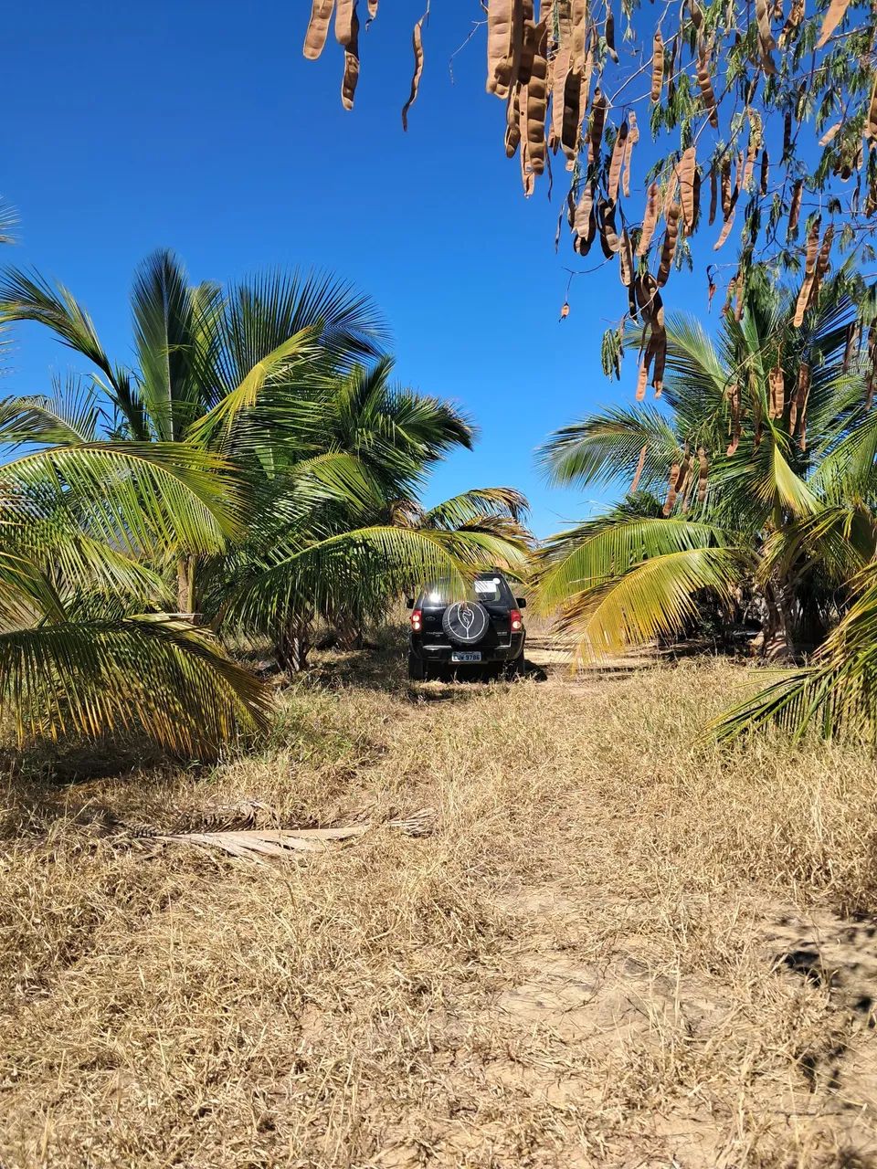 Sitio a venda  - Foto 4