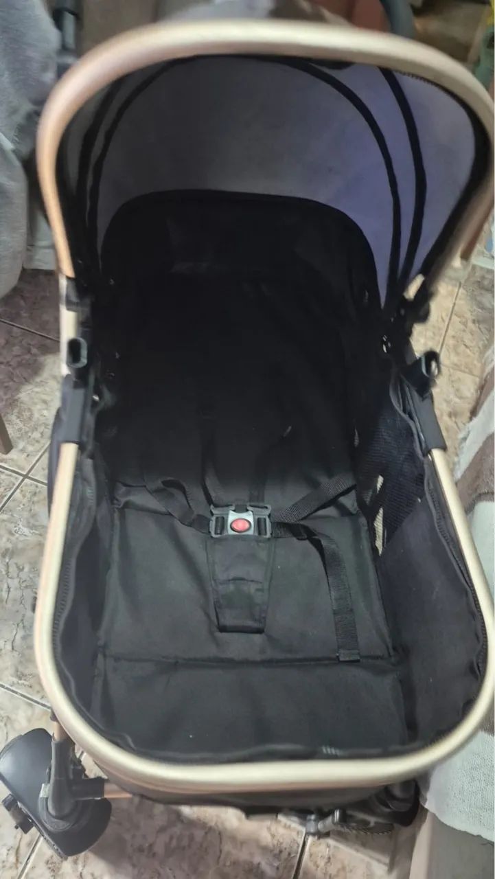 Carrinho de bebê Moisés 