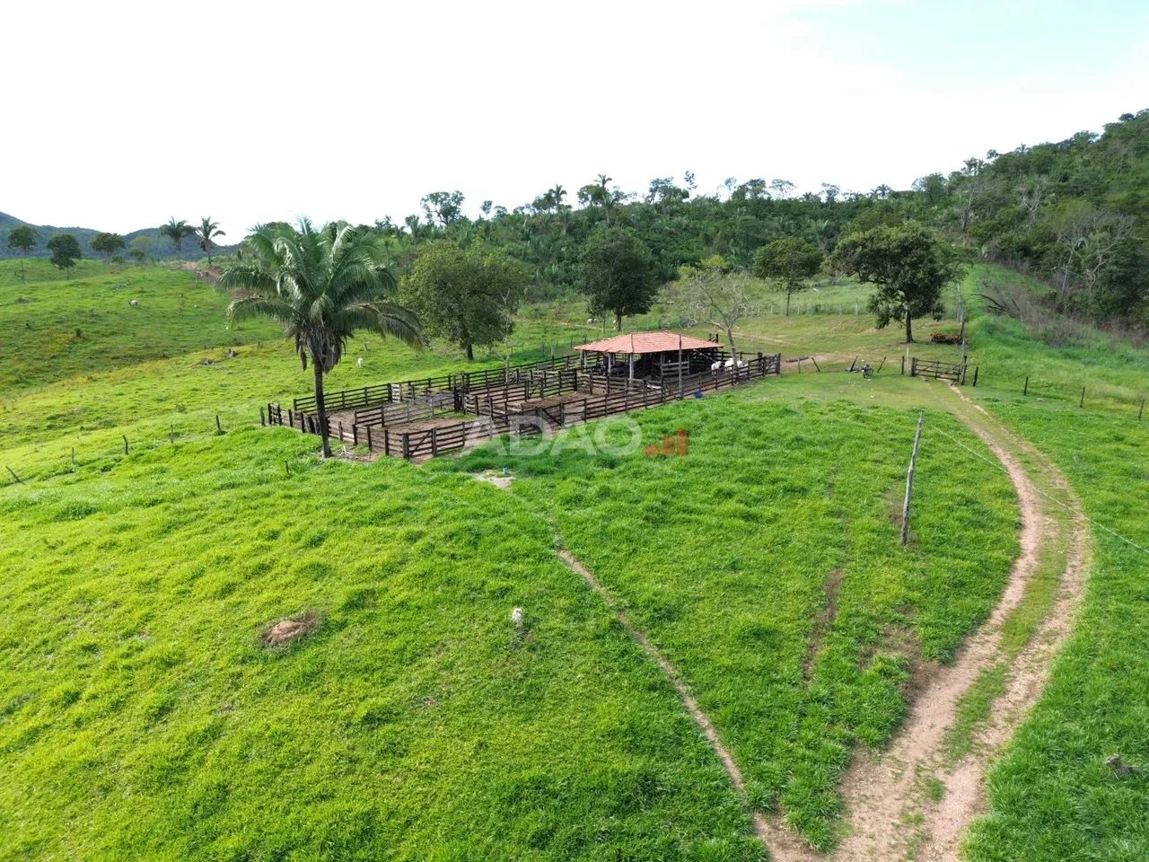 Fazenda Minaçu - Foto 4